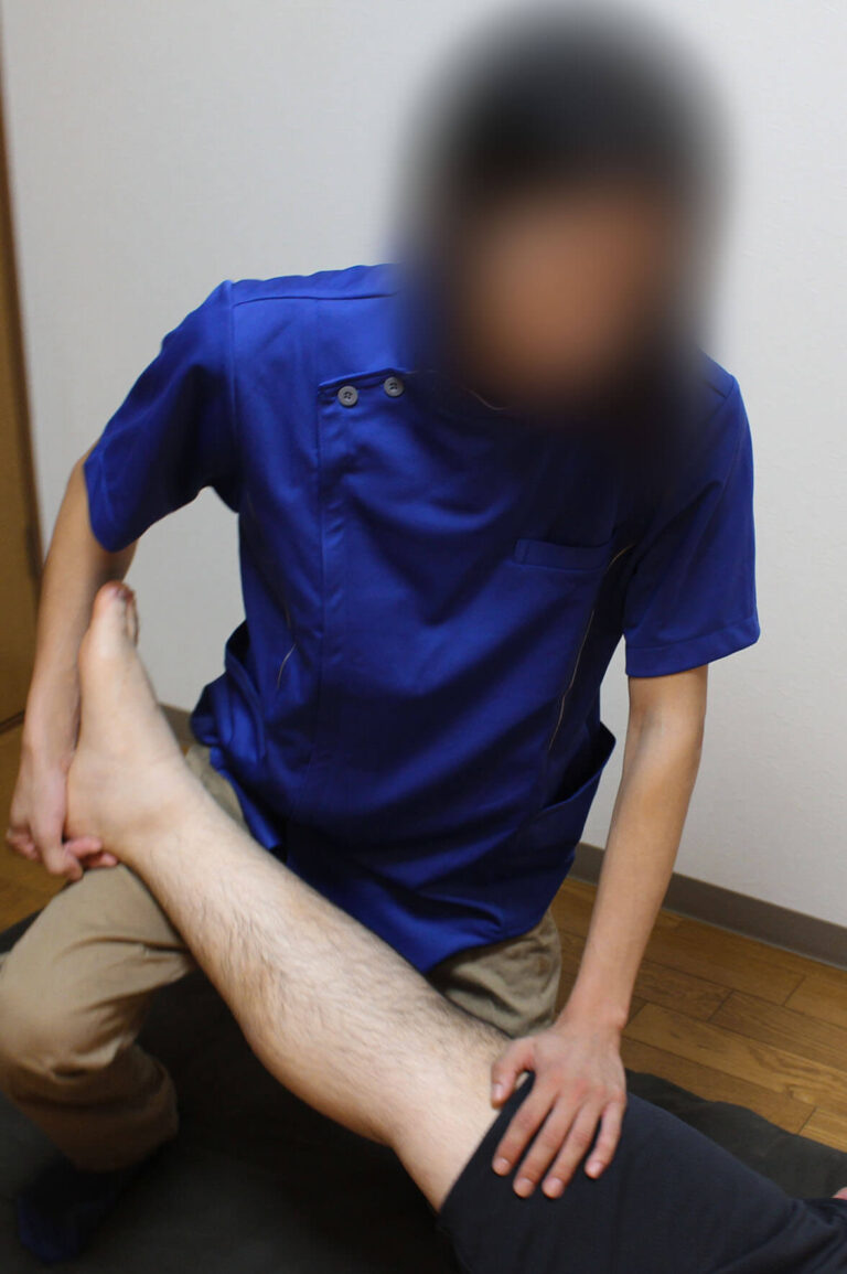 藤井 葵